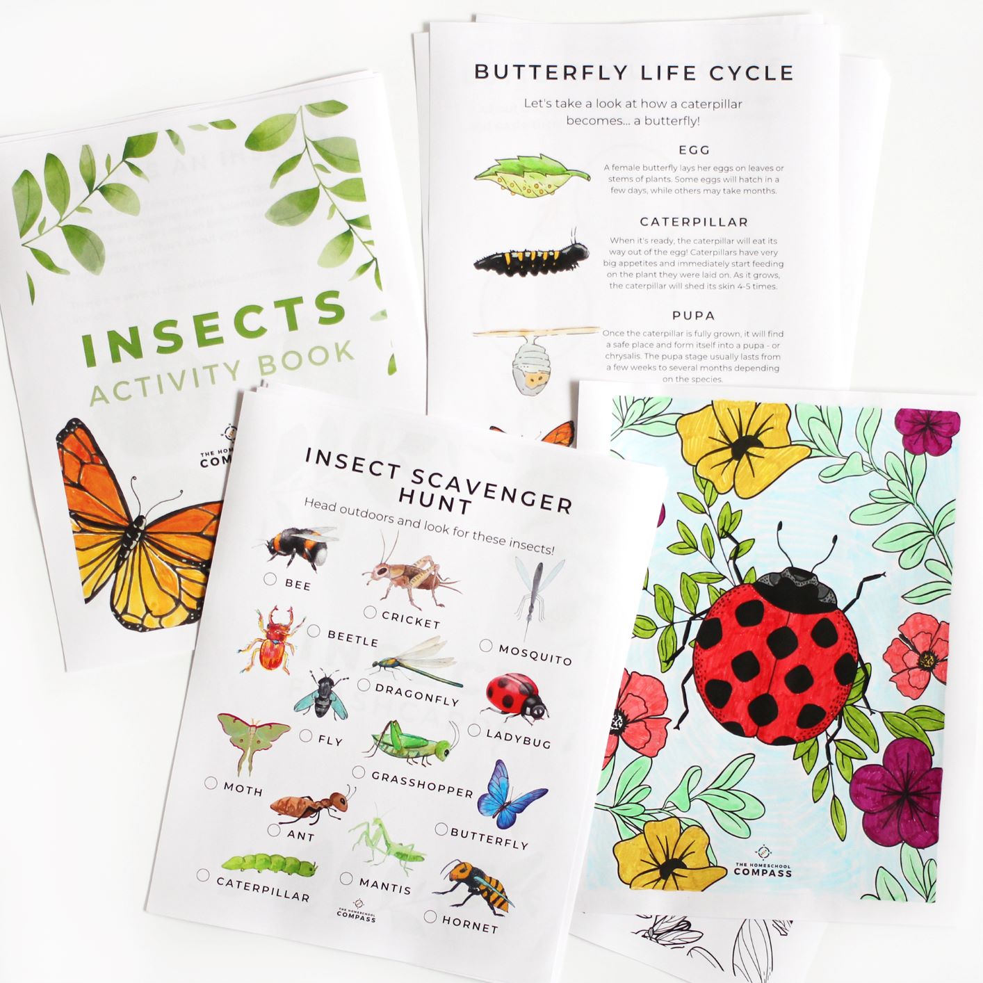 free-printable-insect-activity-book-homeschool-compass
