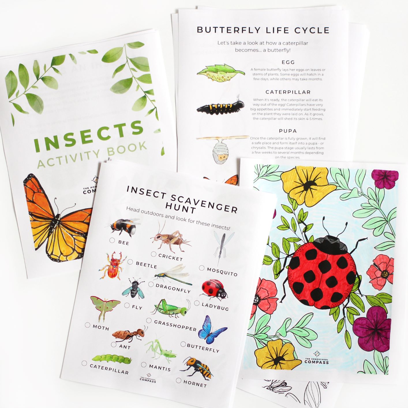 Free Printable Insect Mini Book